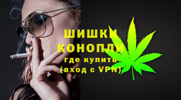 2c-b Коряжма