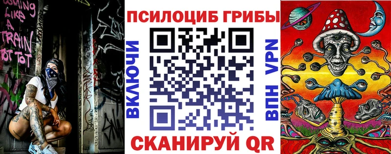 Купить  Нурлат  Псилоцибиновые грибы ЛСД 